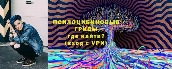 не бодяженный Абаза