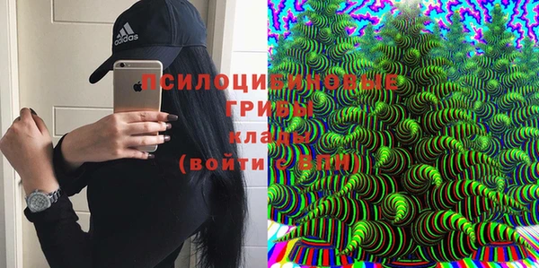 не бодяженный Абаза