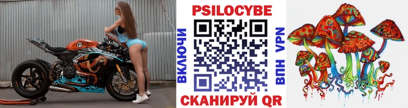 Псилоцибиновые грибы мицелий  Горячеводский 